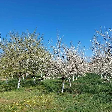 Appartamento Dijelovi *